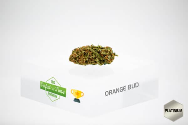Orange Bud 4,19%