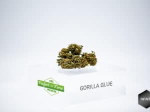 Gorilla glue 4,53%