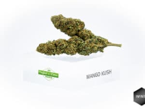 Mango Kush 6,34%