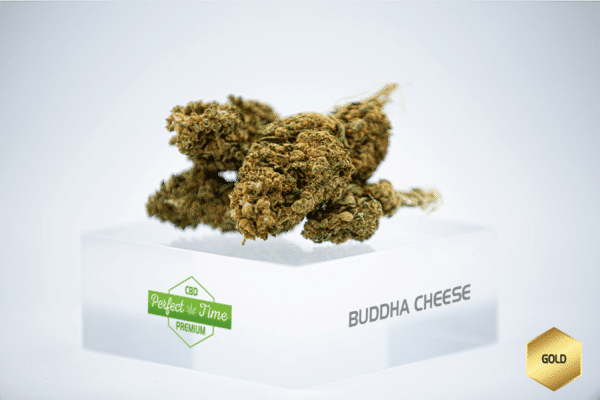 Buddha Cheese 2,92%
