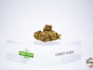 Candy Kush 5,10%