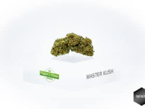 Master Kush 5,54%