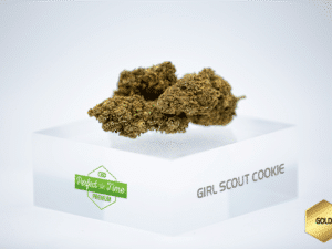 Girl Scout Cookie 3,04%