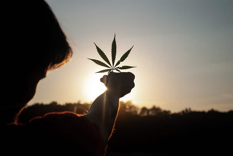 Comment savoir si la vente de cannabis est légale?