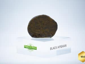 BLACK AFGHAN BOMBAY 13,70%